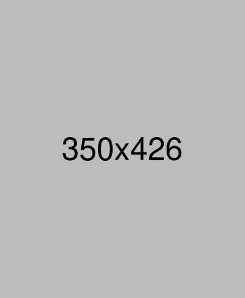 image not found